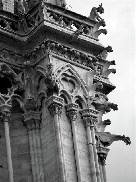 Gargoyles adorning Notre-Dame de Paris Photograph by Edward Meehan - Pixels