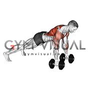 Dumbbell Deep Push up and Renegade Row