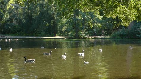 Le Havre Le Parc De Rouelles Jean Louis Allix Flickr