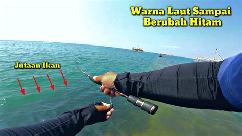 Kejadian Langka Jutaan Ikan Ada Di Depan Mata Mancing Jadi Mudah