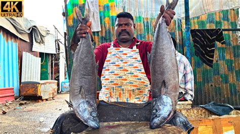 Kasimedu Speed Selvam Rare Fish Cutting In Kasimedu K Video