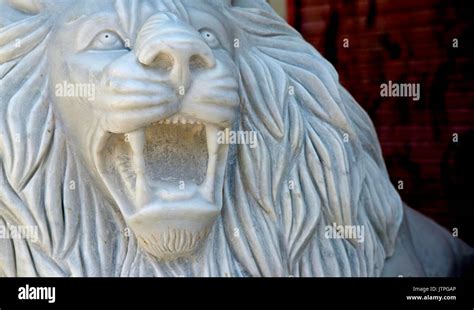 Marble Lion Statue Stock Photo Alamy