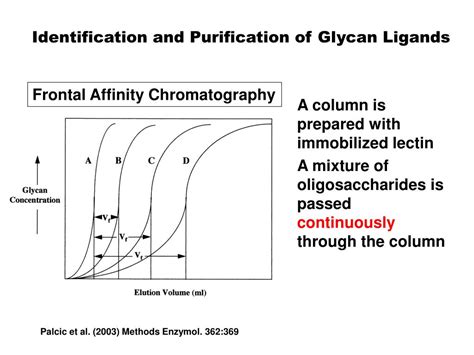 PPT Principles Of Glycan Recognition PowerPoint Presentation Free