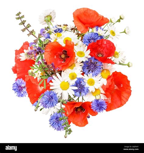 Colorful meadow flowers Stock Photo - Alamy