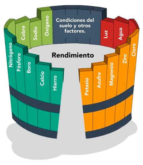 Nutrición Vegetal maximiza la producción de tus cultivos con