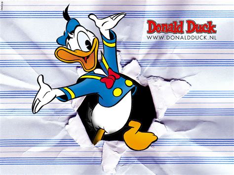 Donald Duck - Donald Duck Wallpaper (9173626) - Fanpop