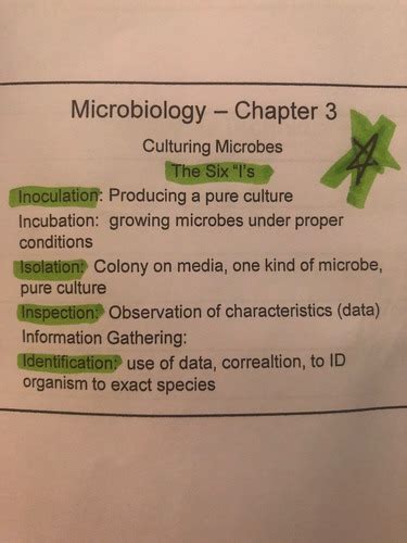 Microbiology Packet 1 Flashcards Quizlet