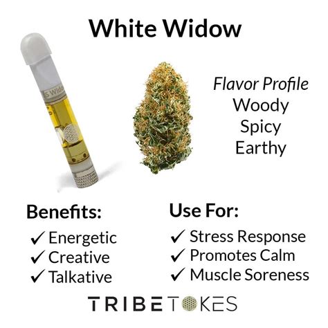 White Widow Strain Buy White Widow Vapes Tribetokes