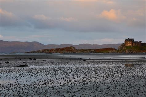 The Holiday Cottages Duntrune Castle Crinan Kilmartin Argyll