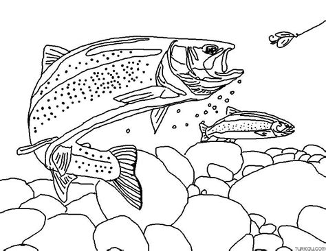 Sun Sea Fishing Coloring Page Turkau