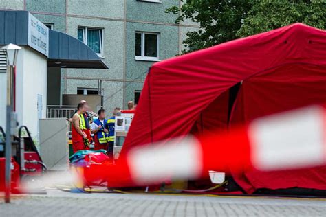 Tote Frau In Wohnung Entdeckt Doch Dann Wird Es Richtig Eklig