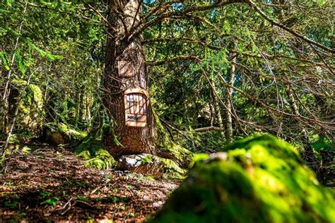 Adéntrate en el Bosque de los Menairons en Andorra femturisme cat