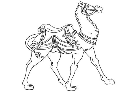 Beautiful Camel Coloring Page Free Printable Coloring Pages