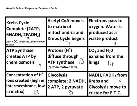 AP Bio 3 6 Cellular Resp Sequence Aerobic Cellular Respiration