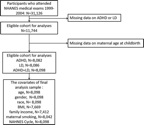 Frontiers | Maternal age at childbirth and the risk of attention ...