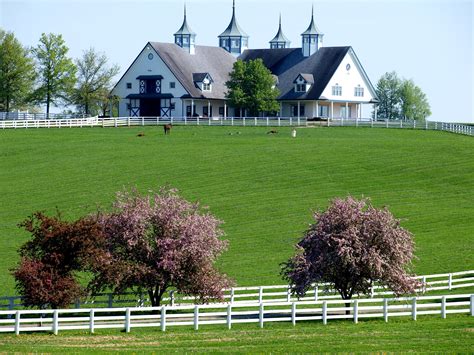 19+ Pictures of kentucky horse farms ideas | smallhorsestabledesigns