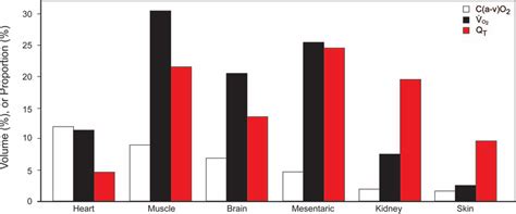 Depiction Of The Highest Oxygen Consuming And Perfused Organs In The