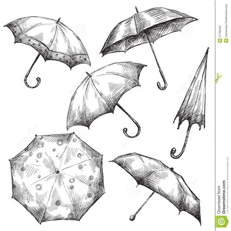 Set Of Umbrella Drawings Hand Drawn Umbrella Drawing Umbrella