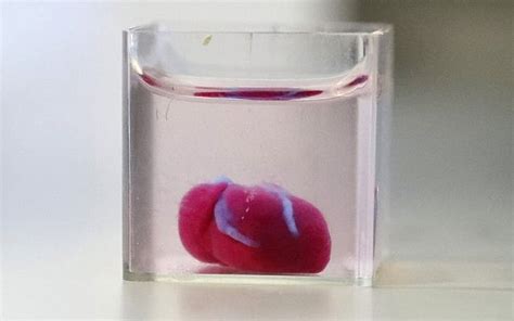 Israeli Scientists Unveil World S First D Printed Heart With Human