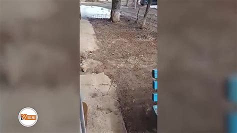Антисанитария и расползающиеся стены: в Волгограде... | Интересный ...