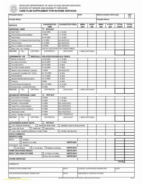 Home Care Care Plan Template This Template Has Been Designed To Assist