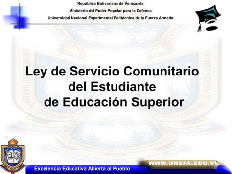 Servicio Comunitario 2010 PPT