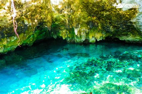 Gran Cenote In Tulum Cenotes In Tulum