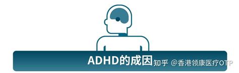 儿童心理｜精神科医生解读：注意缺陷与多动障碍（adhd）的症状和成因 知乎