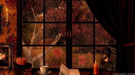 Autumn Window Ambience Video Autumn Leaves Photography Fall