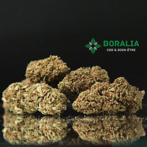 AK 47 CBD Greenhouse Boralia CBD Shop Paris 15