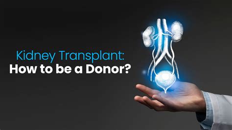 Process Of Kidney Donation And Procedure