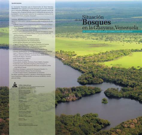 Pdf Situaci N De Los Bosques En Venezuela La Regi N Guayana Como