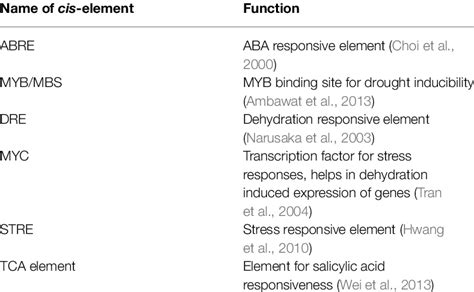 List Of Cis Regulatory Elements And Their Functions Download Scientific Diagram