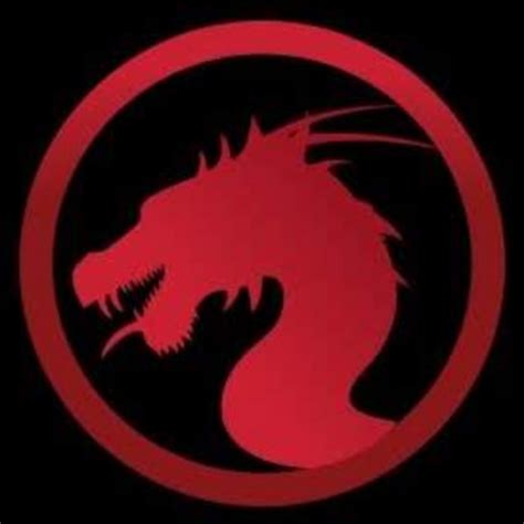 Dragon Owl Youtube