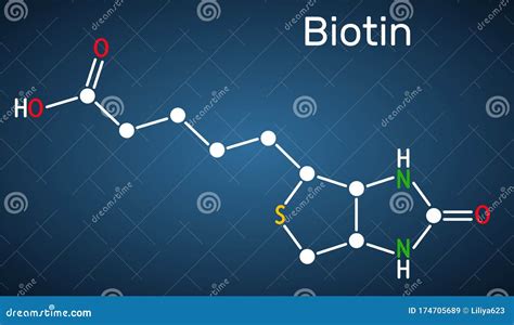 Mol Cula De Biotina Vitamina B F Rmula Qu Mica Estructural En El