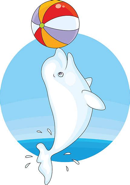 50 Beluga Whale Jumping Stock Illustrations Royalty Free Vector Graphics And Clip Art Istock