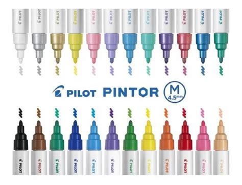 24 Marcadores De Pintura Multitecnica Pilot Pintor Marker Envío Gratis