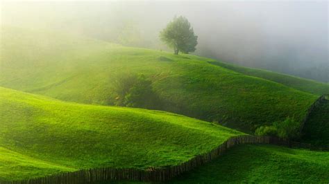 Grassy Hill Wallpapers - 4k, HD Grassy Hill Backgrounds on WallpaperBat