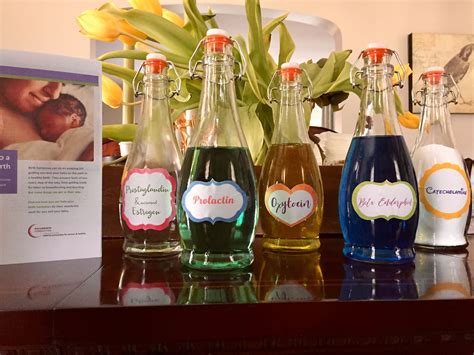 Series brilliant activities for birth educators a toast to the hormones