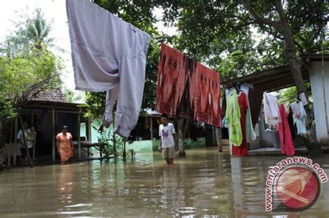 Banjir Bandang Landa Situbondo Ratusan Rumah Terendam Antara News