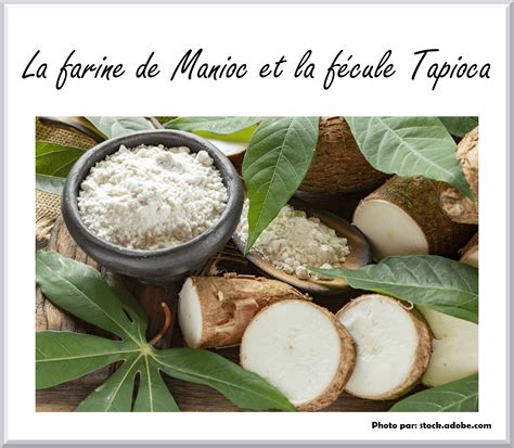 Diff Rences Entre La Farine De Manioc Et La F Cule Tapioca Recettes