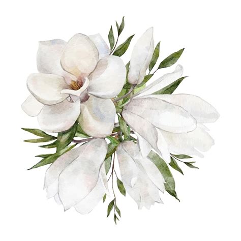 Aquarela branca ilustração vetorial de buquê de flores de magnólia