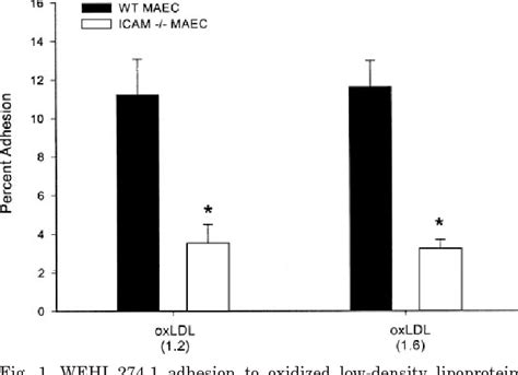 Figure From Essential Role Of Icam In Mediating Monocyte Adhesion