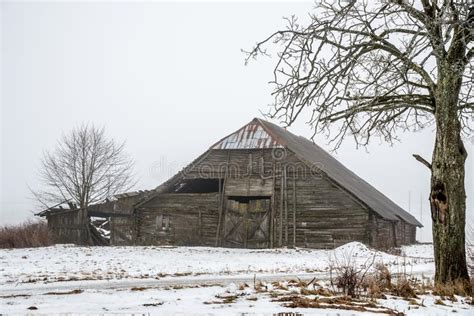 Old Red Barn In Winter Stock Photo Image Of Farm Cold 12346776