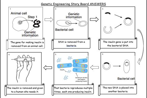 Genetic Modification Ks Activate Science Teaching Resources