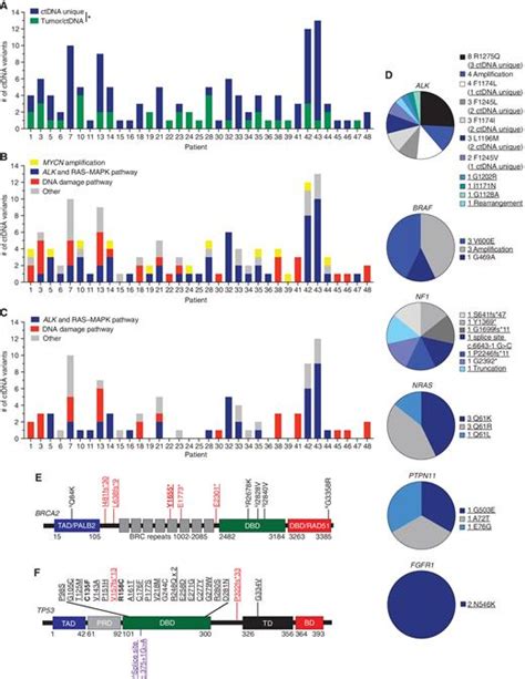 Serial Profiling Of Circulating Tumor Dna Identifies Dynamic Evolution