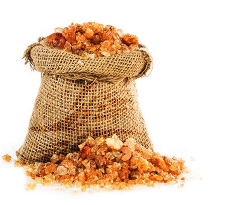 Revitalizing the Sudan Gum Arabic Production and Marketing - Abnaa ...