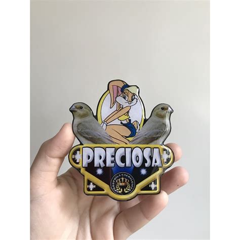 Placa Personalizada Para Gaiola De P Ssaros Lisas E Resinadas F Meas De