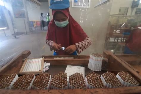 Blt Buruh Rokok Di Kudus Dianggarkan Rp Miliar Radar Kudus