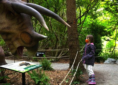 Meet The Man Behind Woodland Park Zoos Life Size Dinosaurs Exhibit